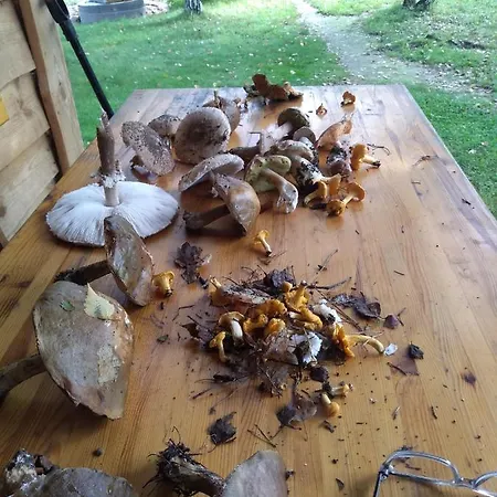 Zacisze Markowszczyzna Sluczanka Exterior foto
