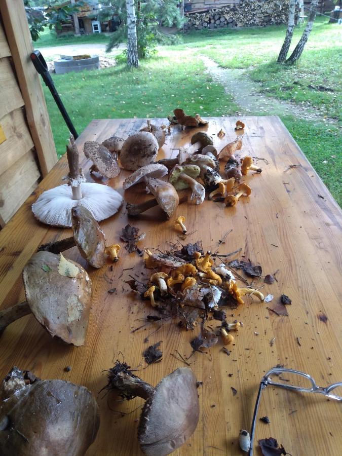 Zacisze Markowszczyzna Ferienhaus *