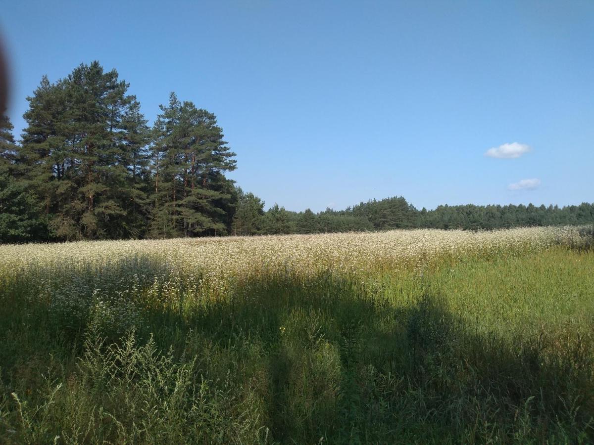 Zacisze Markowszczyzna *