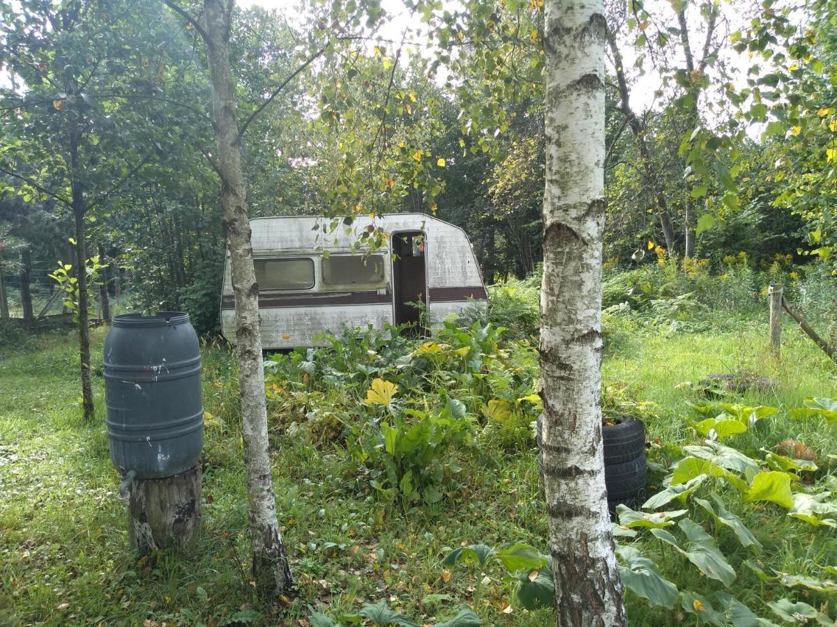 Zacisze Markowszczyzna Ferienhaus Sluczanka