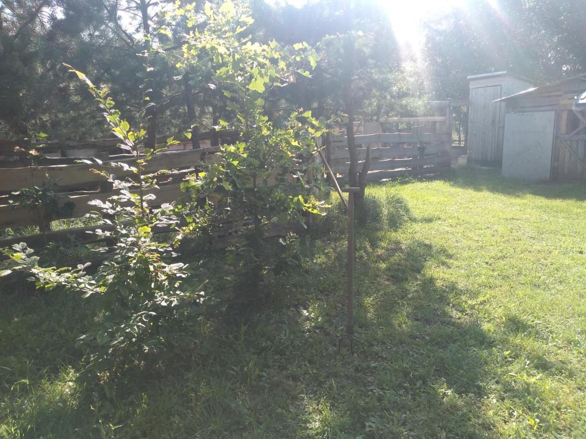 Zacisze Markowszczyzna *
